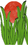 Ageless Liquid Serum Icon