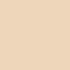 Warm Ivory Beige Foundation
