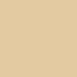 Warm Light Golden Beige Foundation