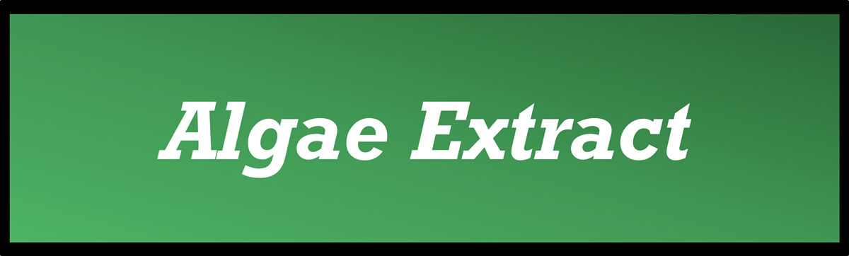 Algae Extract by Secret of Aging
