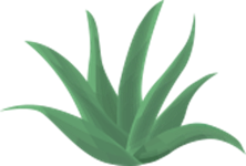 Rejuvenating Moisturizer Gel Aloe Icon