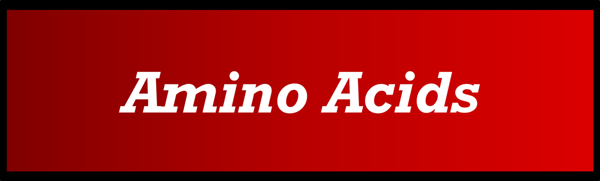 Amino Acids by Secret of Aging