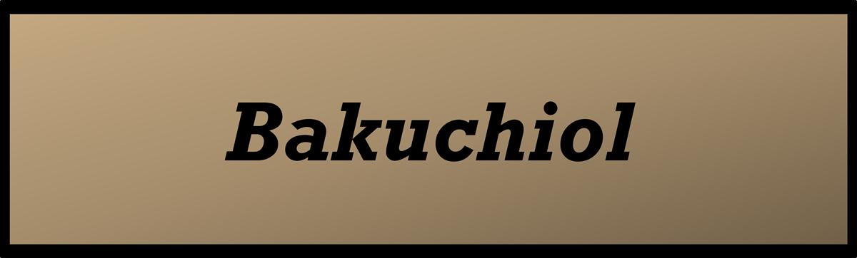 Bakuchiol by Secret of Aging