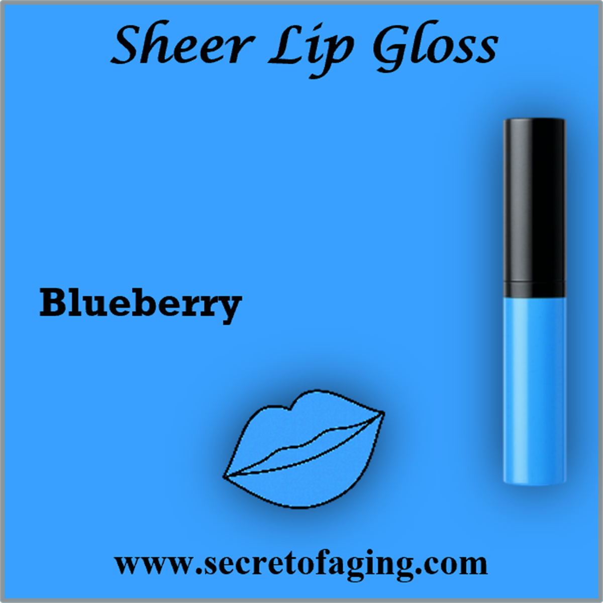 Blueberry Sheer Lip Gloss