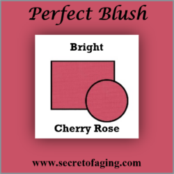 Bright Cherry Rose