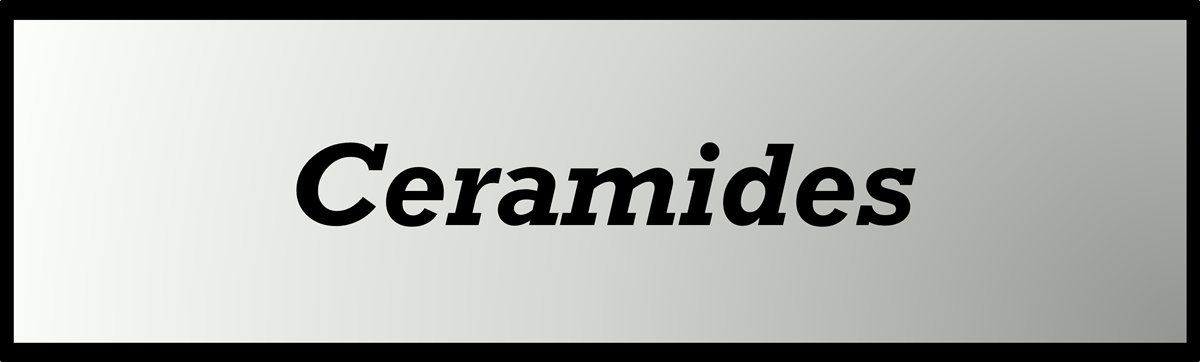 Ceramides by Secret of Aging