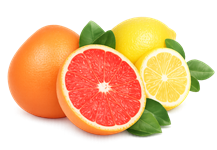 Clarifying Toner Plus C Citrus Icon