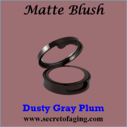 Dusty Gray Plum