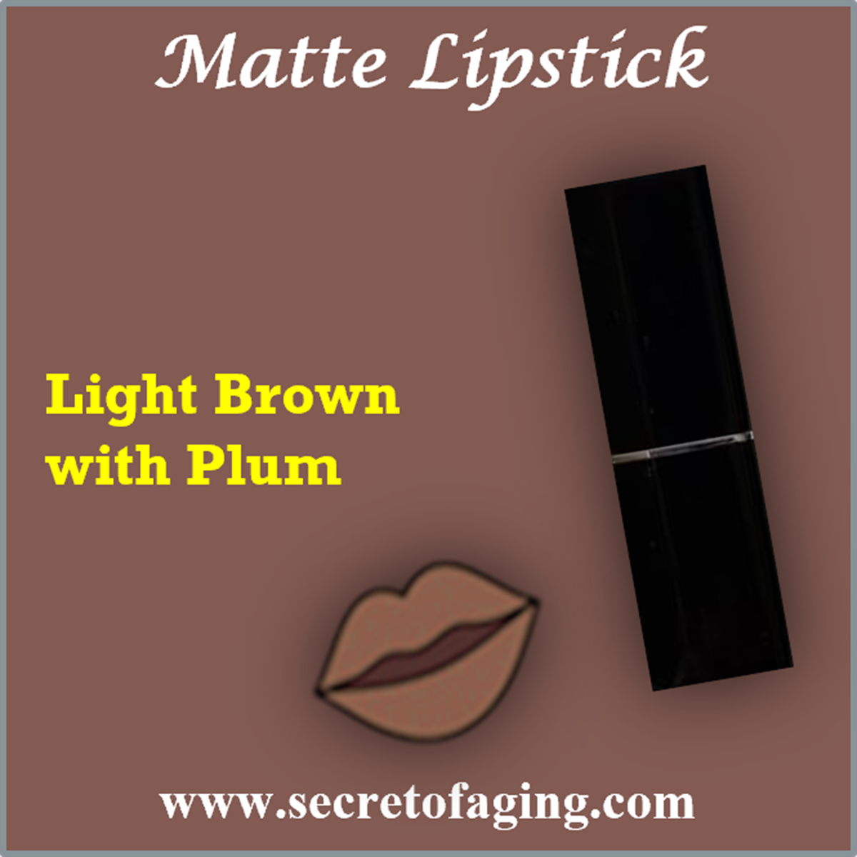 Light Brown with Plum Matte Lipstick