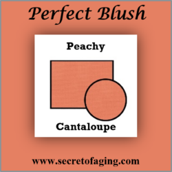 Peachy Cantaloupe