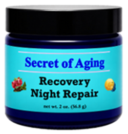 Recovery Night Repair by Secret of Aging