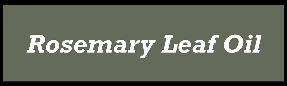 Rosemary Leaf Oil by Secret of Aging