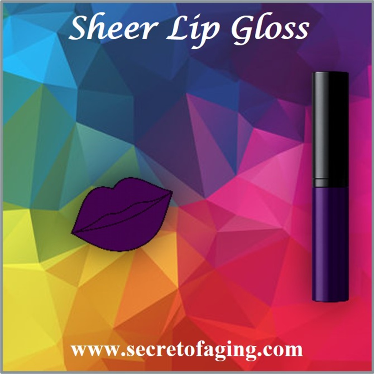 Sheer Lip Gloss by Secret of Aging
