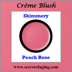Shimmery Peach Rose