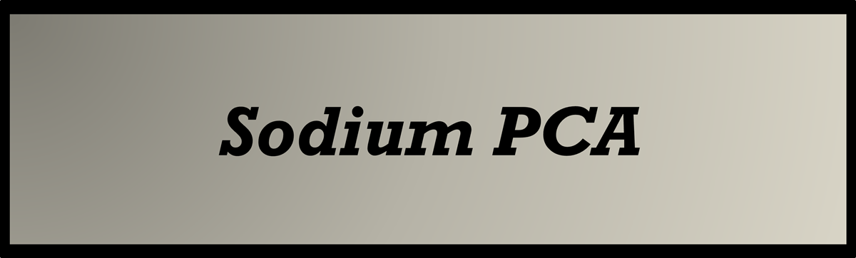 Sodium PCA by Secret of Aging