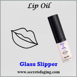 Glass Slipper