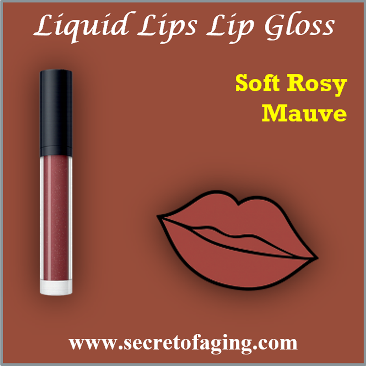 Soft Rosy Mauve Liquid Lips Lip Gloss